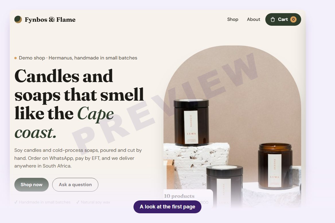 Inside Lekker Store Kit – Online Shop + Sales & Profit Dashboard, preview 1